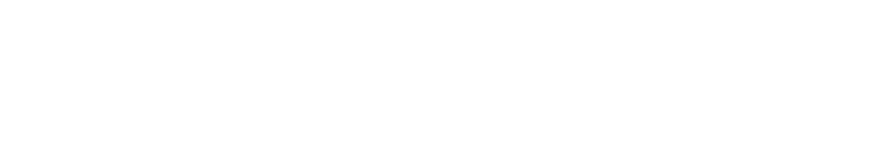 Bizzyman